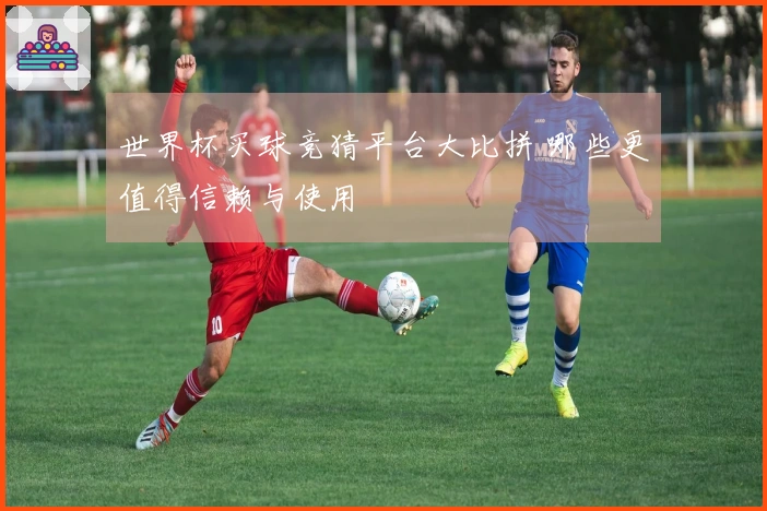 世界杯买球竞猜平台大比拼 哪些更值得信赖与使用