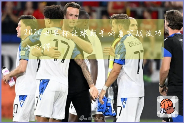 2026世界杯让球新手必看实战技巧与心得