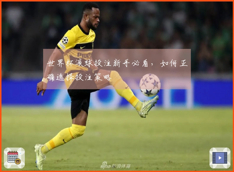 世界杯滚球投注新手必看，如何正确选择投注策略