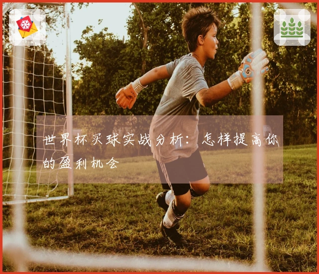 世界杯买球实战分析：怎样提高你的盈利机会