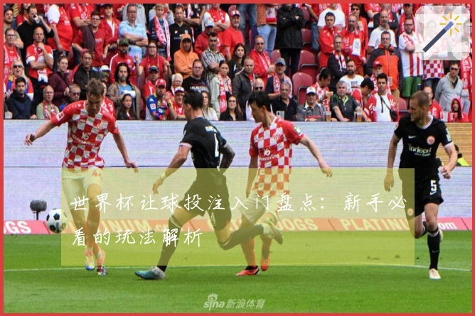 世界杯让球投注入门盘点：新手必看的玩法解析