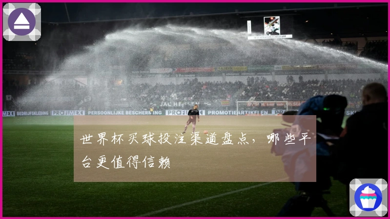 世界杯买球投注渠道盘点，哪些平台更值得信赖