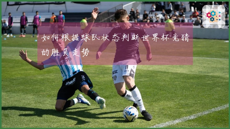 如何根据球队状态判断世界杯竞猜的胜负走势