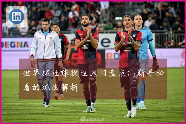 世界杯让球投注入门盘点：新手必看的玩法解析