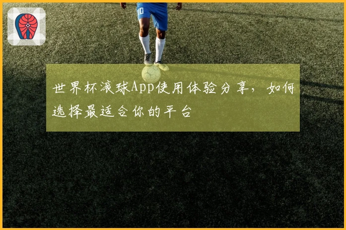 世界杯滚球App使用体验分享，如何选择最适合你的平台