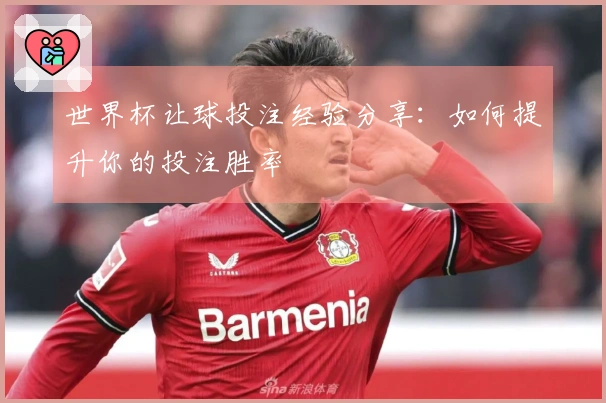 世界杯让球投注经验分享：如何提升你的投注胜率