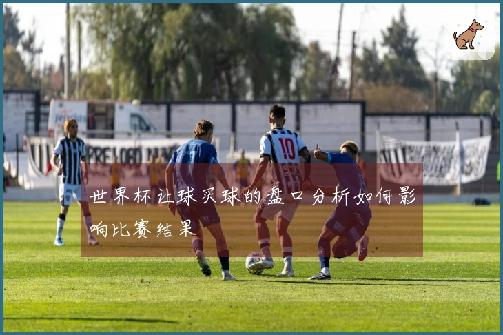 世界杯让球买球的盘口分析如何影响比赛结果
